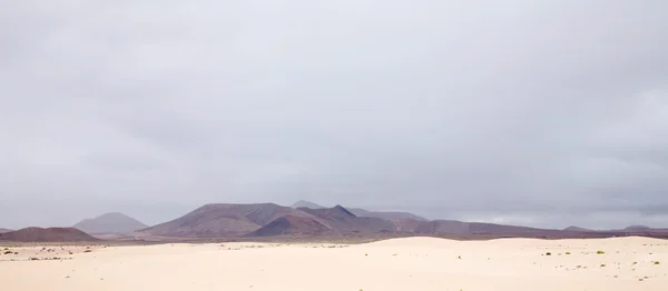 Paisagem vulcânica de Fuerteventura, Ilhas Canárias — Fotografia de Stock