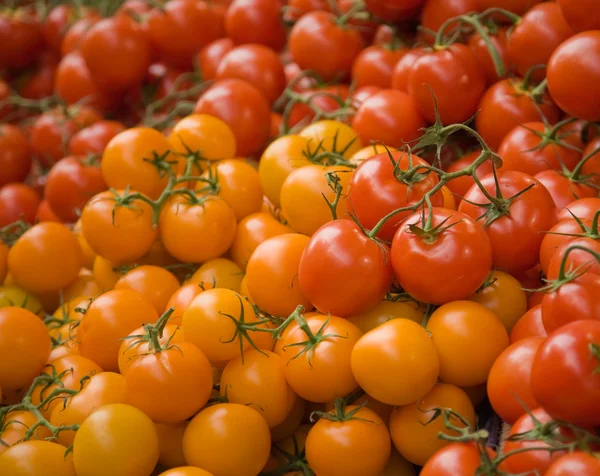 Tomaten auf dem Markt zum Verkauf — Stockfoto