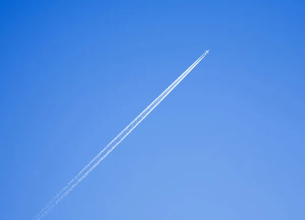 stock image Has wings - will fly