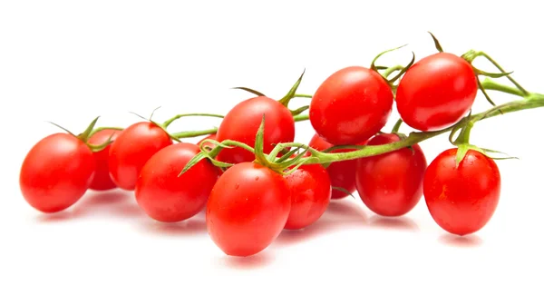 Tomates ciruela en la vid — Foto de Stock