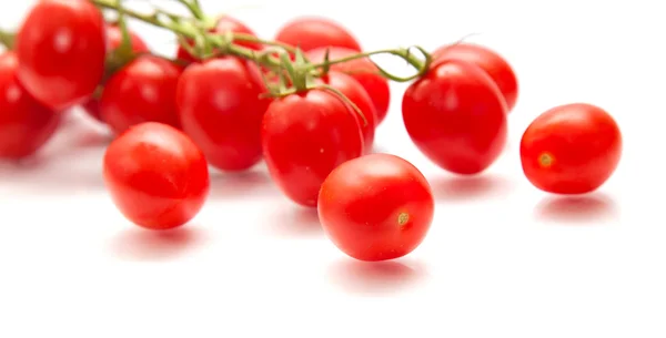 Tomates ciruela en la vid —  Fotos de Stock