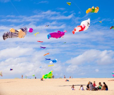 Fuerteventura - 13 Kasım: İzleyiciler izle mu olarak sıfırdan