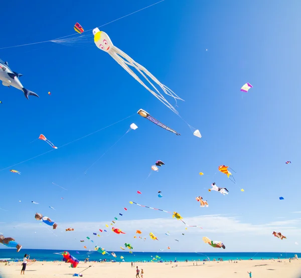 Fuerteventura - November 13-án: Kite Fesztivál — Stock Fotó
