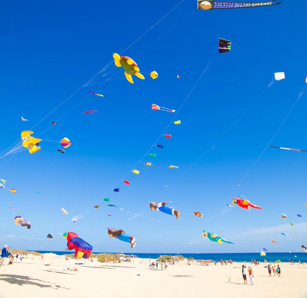Fuerteventura - 13. listopadu: Kite Festival — Stock fotografie