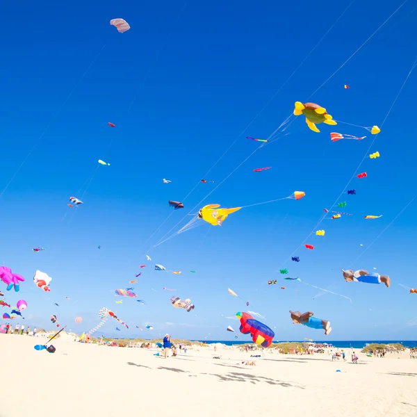 FUERTEVENTURA - NOVEMBRO 13: Kite Festival — Fotografia de Stock