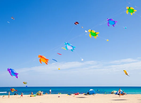 Fuerteventura - 13 November: Kite Festival — Stockfoto