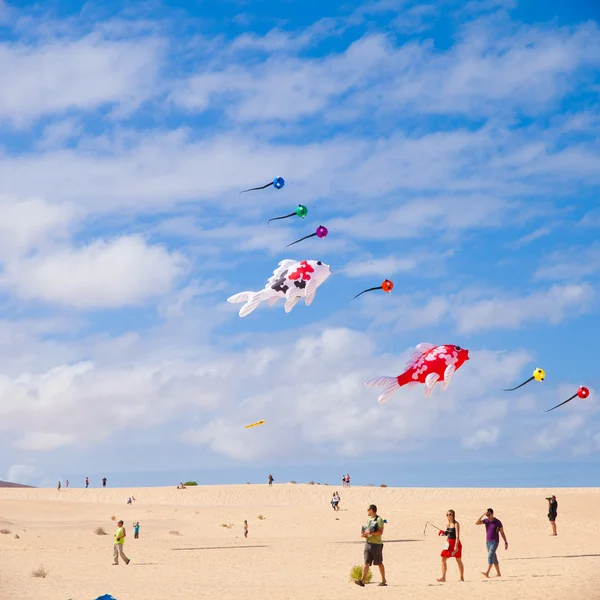 Fuerteventura - 13. listopadu: Diváci sledovat od země mu — Stock fotografie