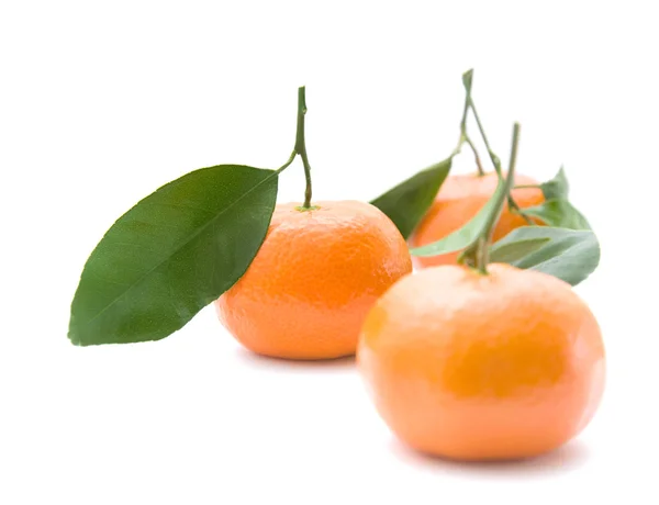 Clementine mit kleiner Seezunge und Blatt; isoliert auf weiß — Stockfoto