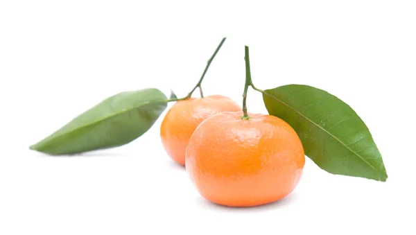 Clementine med små barnch och blad; isolerad på vit — Stockfoto