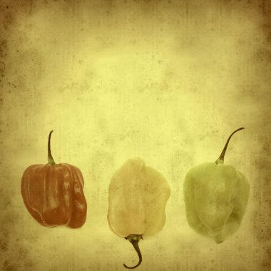 Old paper background with scotch bonnet chilli peppers horizonta clipart