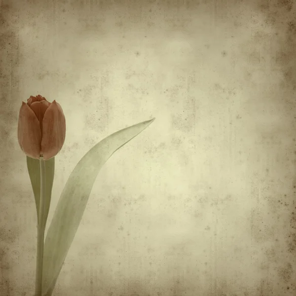 Teksturowane stary tło z tulipany — Zdjęcie stockowe