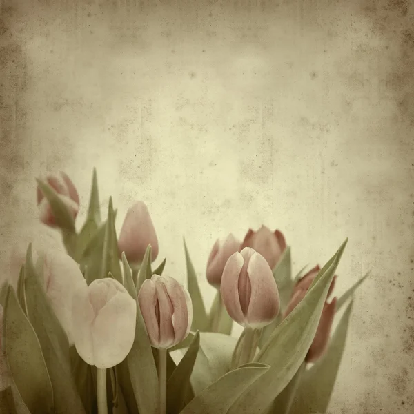 Textured old paper background with tulips — Stock Photo, Image