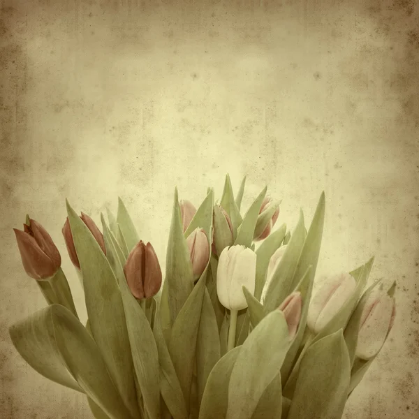 Текстурированный старый бумажный фон с тюльпанами — стоковое фото