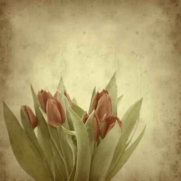 Texturizado fundo de papel antigo com tulipas — Fotografia de Stock