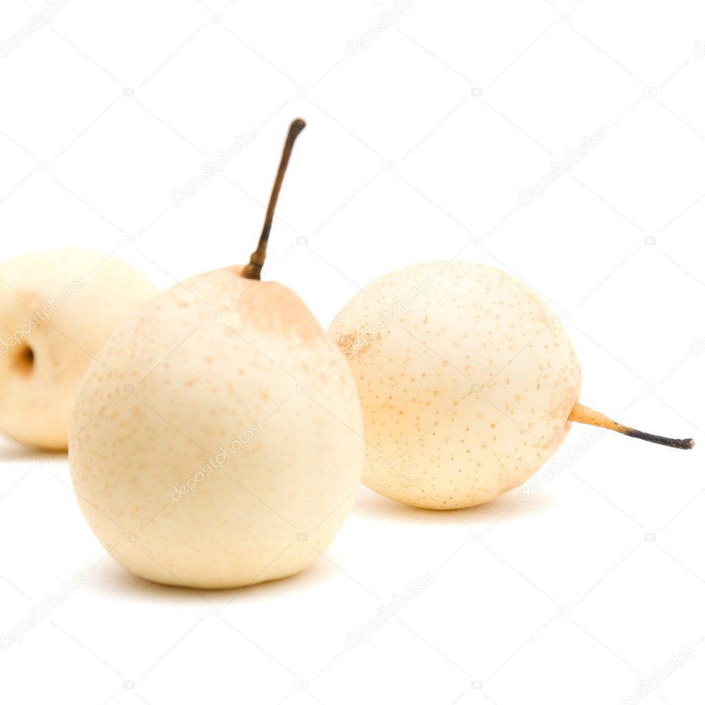 chinese white pear