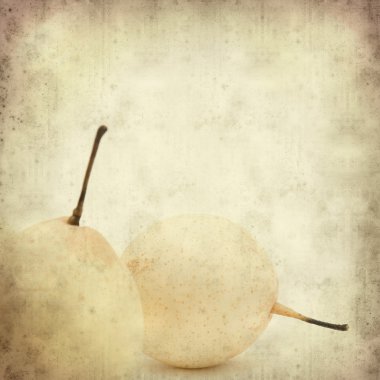 Textured old paper background with Chinese White Pears (Duck Pe clipart