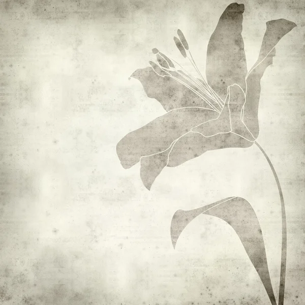 Getextureerde oud papier achtergrond met drwaing van een lily bloem — Stockfoto