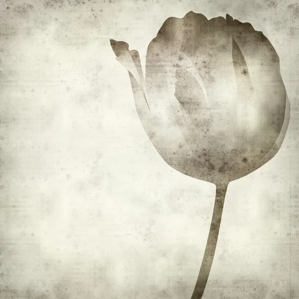 Textured old paper background with drawing of a tulip flower