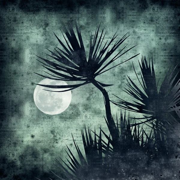 Textured old paper background with tropical night collage — Stock Photo, Image