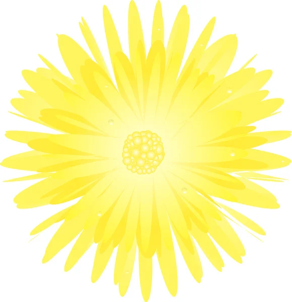 Αφηρημένη κίτρινο λουλούδι με νερό που πέφτει — Φωτογραφία Αρχείου