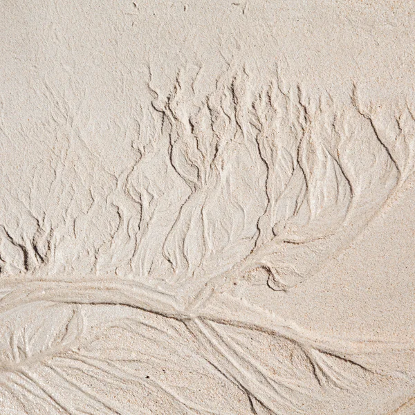 Αμμώδης ακτή φόντο — Φωτογραφία Αρχείου