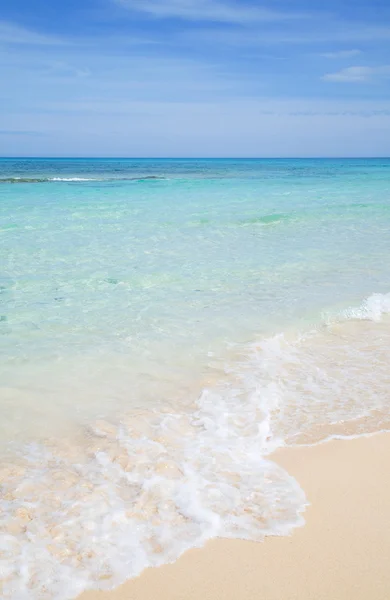 카나리아, 아름 다운 모래 해변 — 스톡 사진