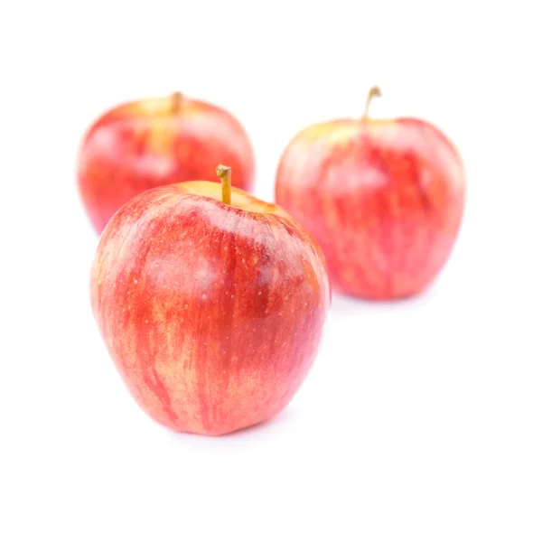 stock image Tree red apples isolated on white