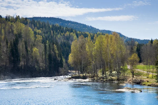 Noruega; río de primavera — Foto de Stock