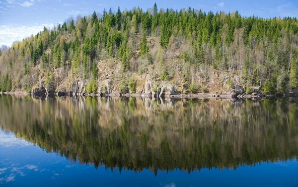 Północnej wiosna - jezioro las — Zdjęcie stockowe