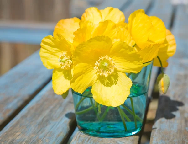 Welsh poppy (meconopsis cambrica) in shallow blue glass;on old garden table — Stock Photo, Image