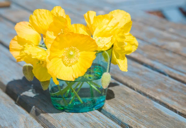 Welsh poppy (meconopsis cambrica) in shallow blue glass;on old garden table — Stock Photo, Image