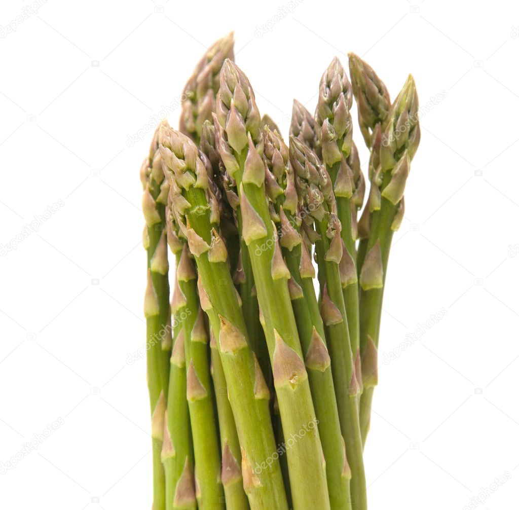 Asparagus;