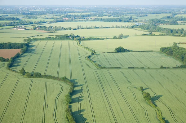 Blick über die frühsommerlichen grünen Felder aus der Luft; Ostanglia; uk — Stockfoto