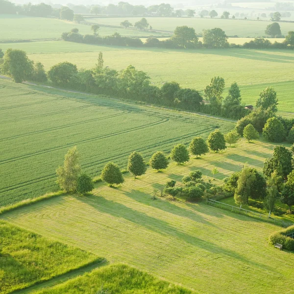 Aufgeräumter Platz - Blick über die frühsommerlichen grünen Felder aus der Luft; — Stockfoto