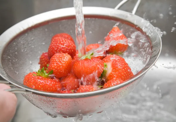 stock image Washing fresh red strawberries in a sieve,