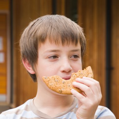 Smalll caucasian boy eating large chocolate chip cookie outdoors clipart