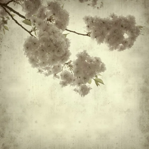 Текстурированный старый бумажный фон с весенними цветами — стоковое фото