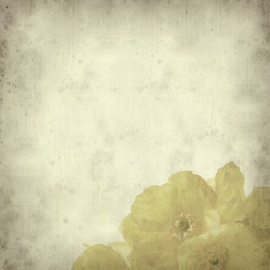 dokulu eski kağıt arka plan sarı Haşhaş Galce