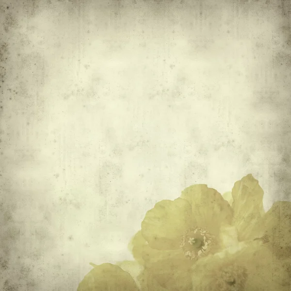 Testurizzato vecchio sfondo di carta con papavero gallese giallo — Foto Stock