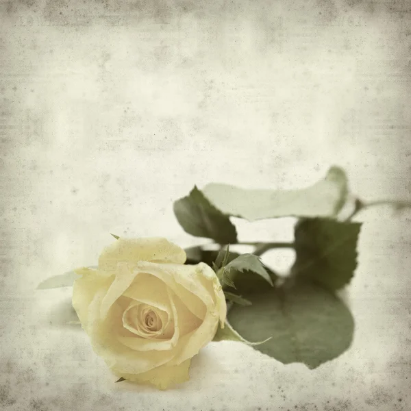 Vieux fond de papier texturé avec une seule rose jaune — Photo