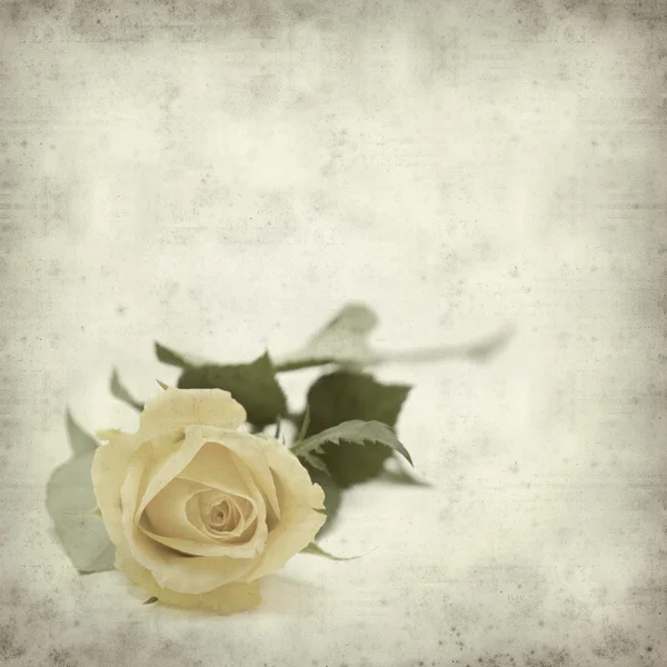 Textured old paper background with single yellow rose — Stock Photo, Image