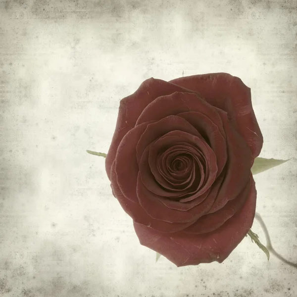 纹理与完美一朵红玫瑰的旧纸张背景。 — 图库照片
