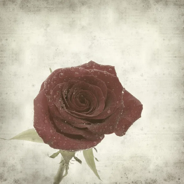 Getextureerde oud papier achtergrond met één perfecte rode roos — Stockfoto