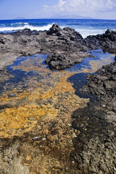 Northern Fuerteventura, shallow rock pool on black volcanic rocky — Stock Photo, Image