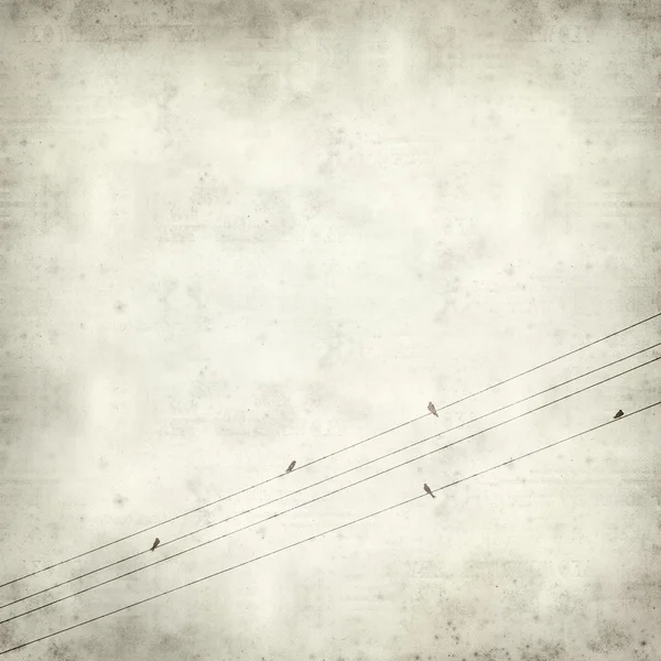 Texture vecchio sfondo di carta con uccelli swifts su fili — Foto Stock