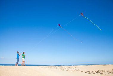 Two brothers are flying kites in natural reserve dunes of Corral clipart