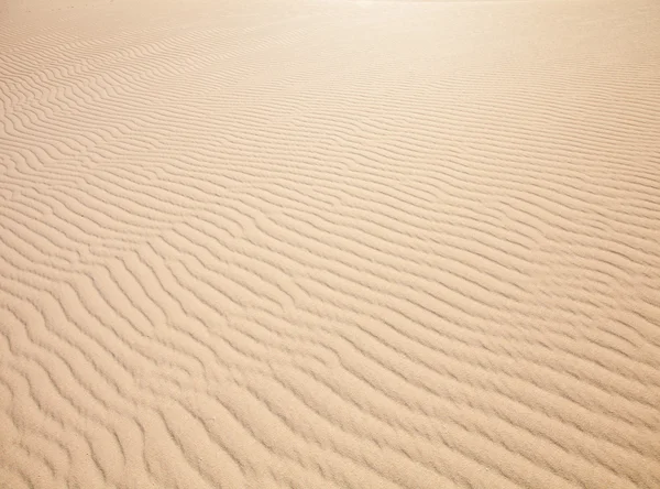砂模式 — 图库照片