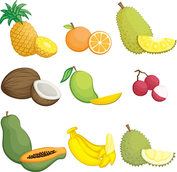 Symbole der tropischen Früchte — Stockvektor