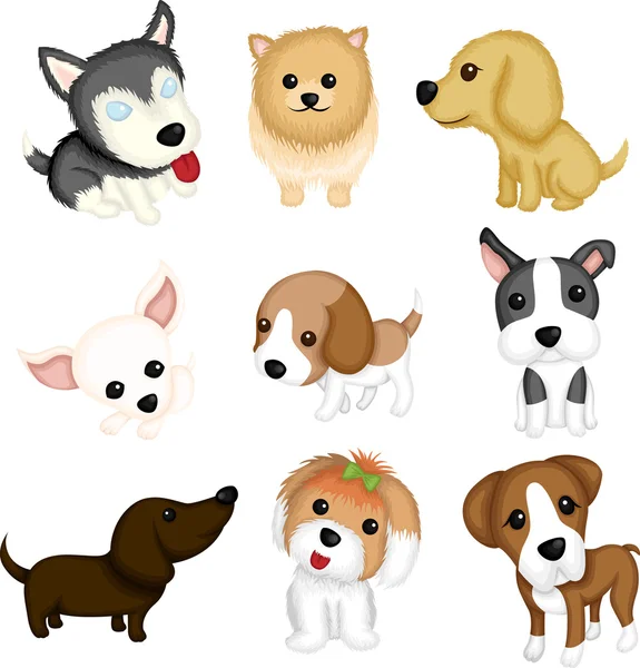 Races de chiens — Image vectorielle