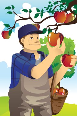 elma çiftçi